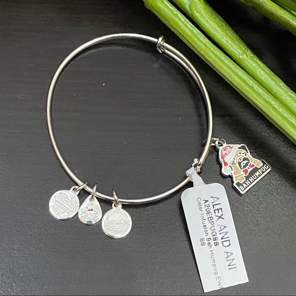 Alex and Ani Bah Humpug Bangle Bracelet - Picture 4 of 10